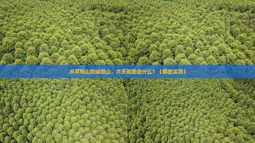 双鸭山到四川峨眉山六日游