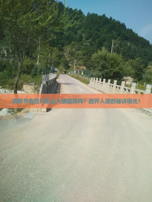 清明节去四川乐山大佛旅行社