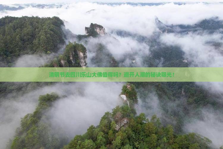 清明节去四川乐山大佛旅行社