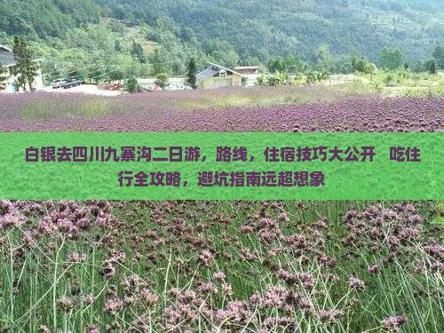 白银去四川九寨沟二日游 白银去四川九寨沟二日游