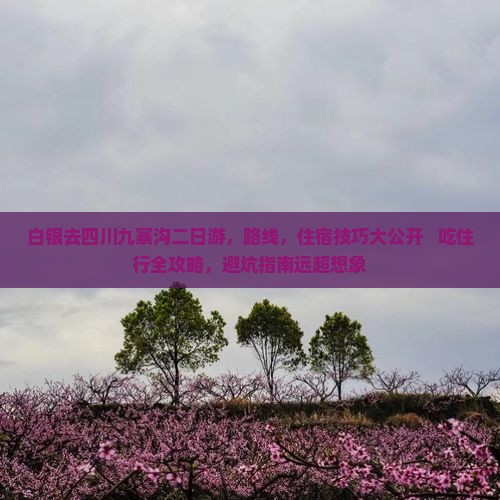 白银去四川九寨沟二日游 白银去四川九寨沟二日游