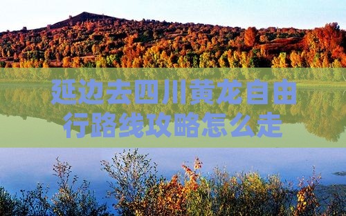 延边去四川黄龙自由行