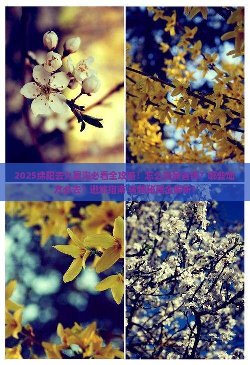 绵阳去四川九寨沟必去地