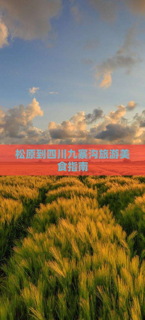 松原到四川九寨沟旅游小吃