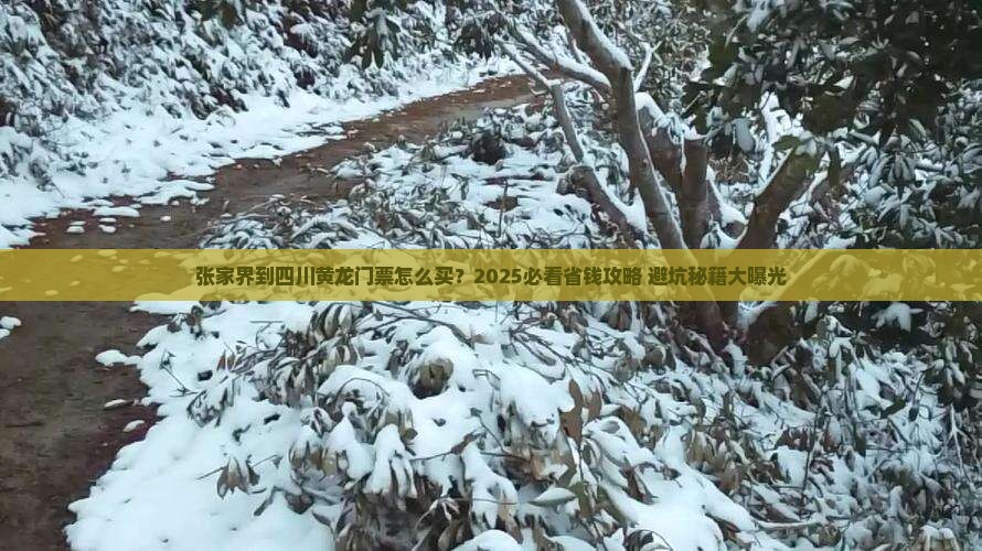 张家界到四川黄龙门票
