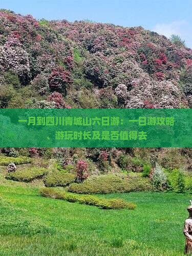 一月到四川青城山六日游
