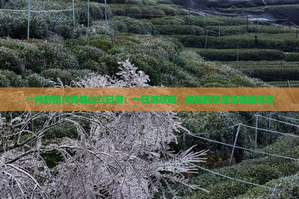 一月到四川青城山六日游