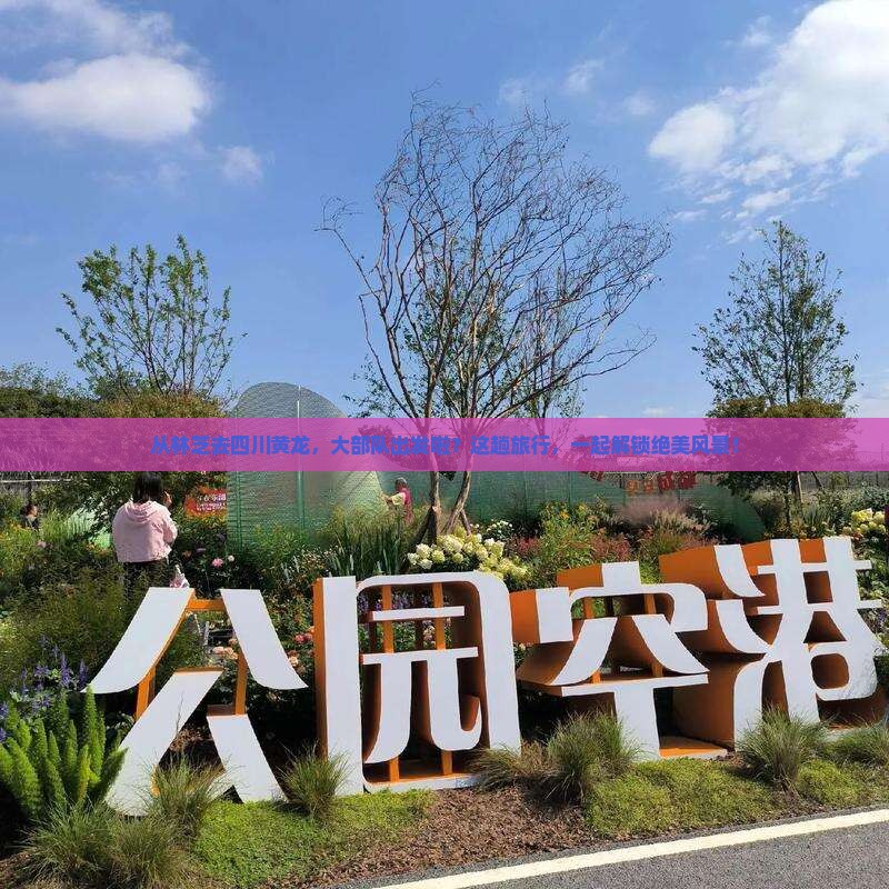 林芝到四川黄龙大型旅游团