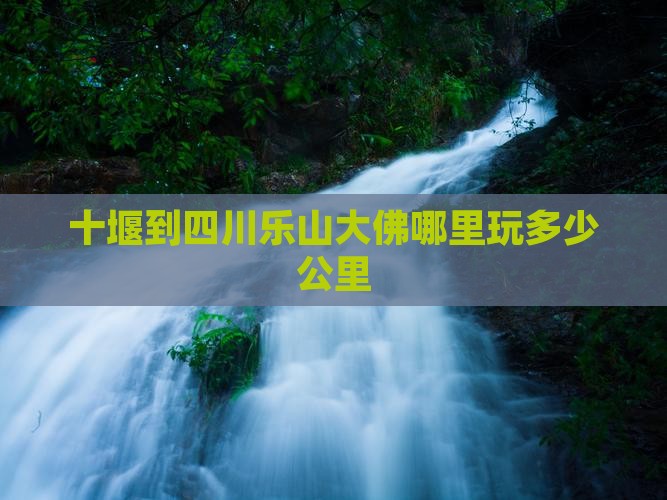 十堰到四川乐山大佛哪里玩