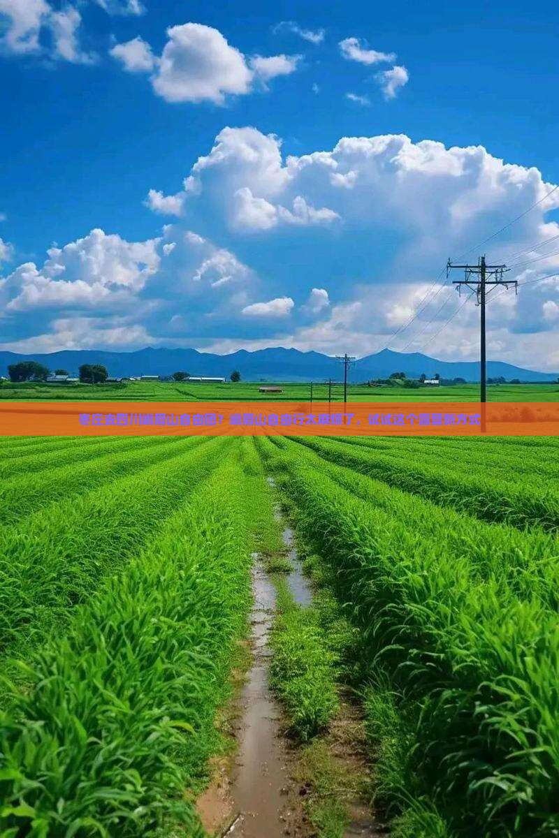 枣庄去四川峨眉山自由团