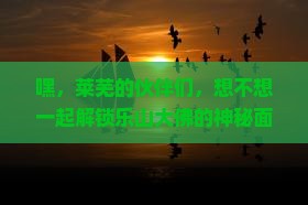 莱芜到四川乐山大佛团体旅游