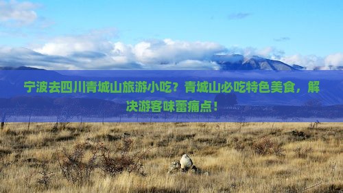 宁波去四川青城山旅游小吃