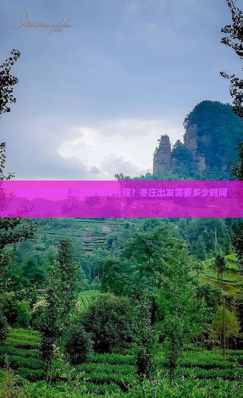 枣庄去四川黄龙旅游
