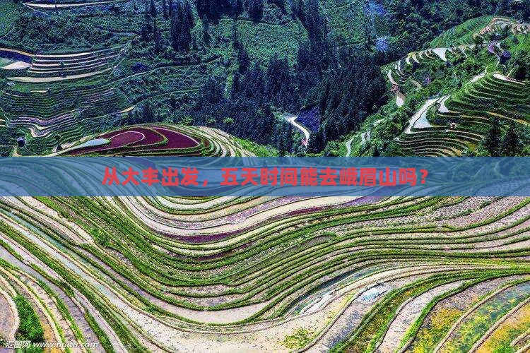 大丰到四川峨眉山五日游