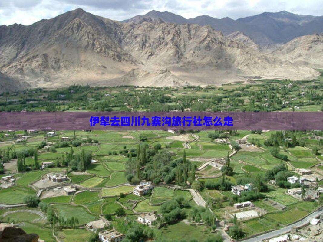 伊犁去四川九寨沟旅行社