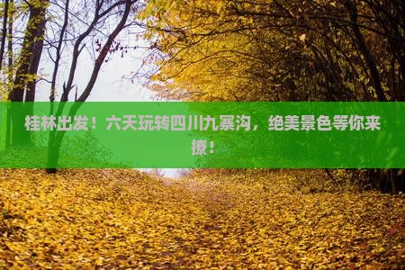 桂林去四川九寨沟六日游