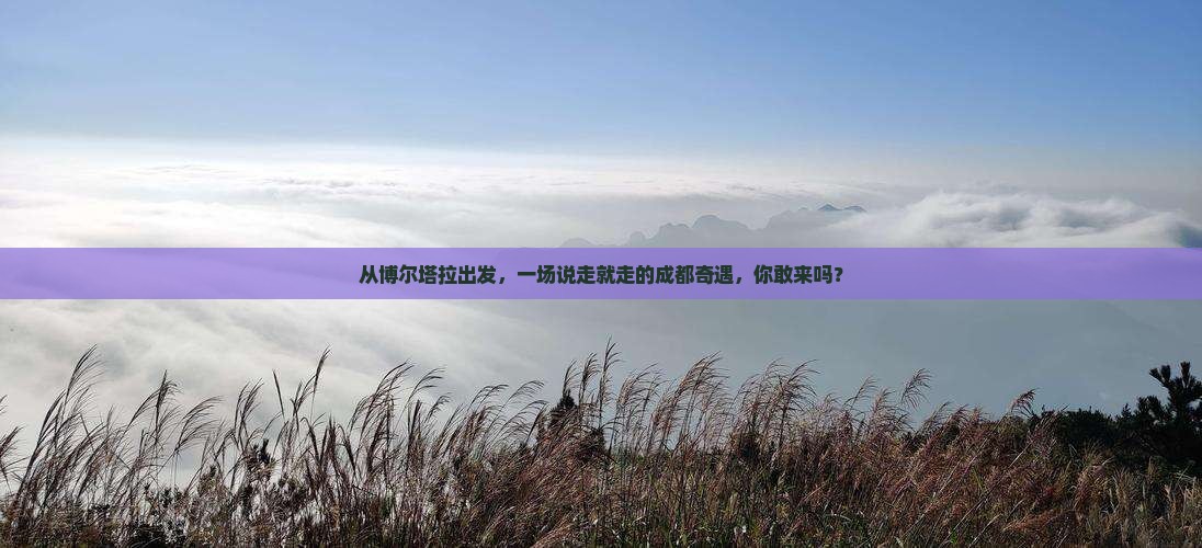 博尔塔拉到四川成都个人游