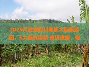 河池去四川成都大型旅游团