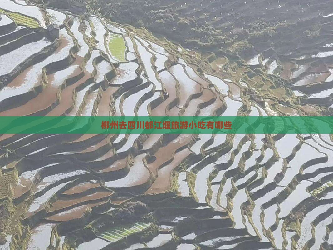 柳州去四川都江堰旅游小吃