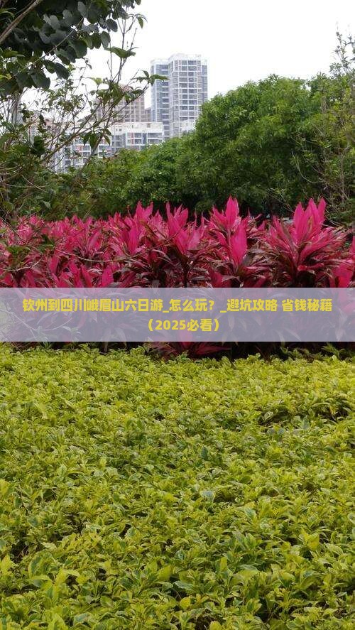 钦州到四川峨眉山六日游