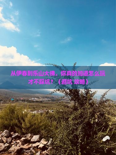 伊春到四川乐山大佛旅行社