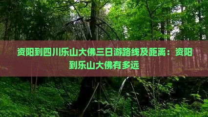 资阳到四川乐山大佛三日游