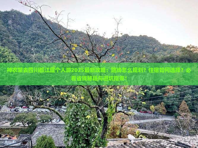 神农架去四川都江堰个人游