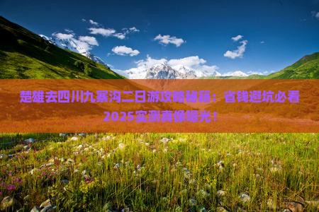 楚雄去四川九寨沟二日游