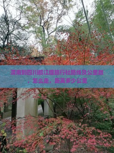 渭南到四川都江堰旅行社