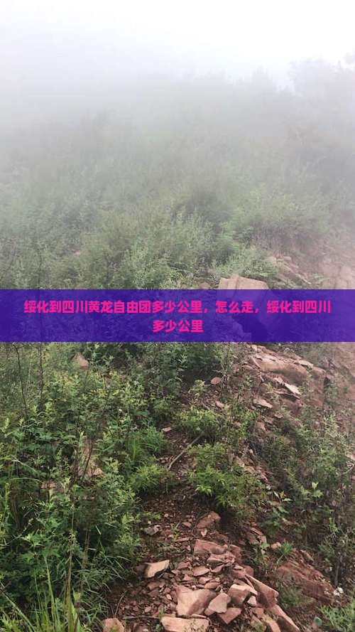 绥化到四川黄龙自由团