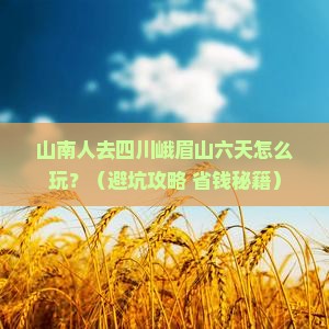 山南去四川峨眉山六日游