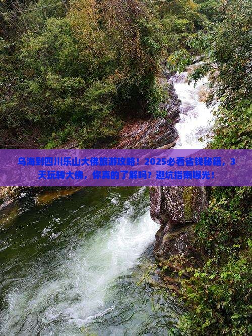 乌海到四川乐山大佛旅游