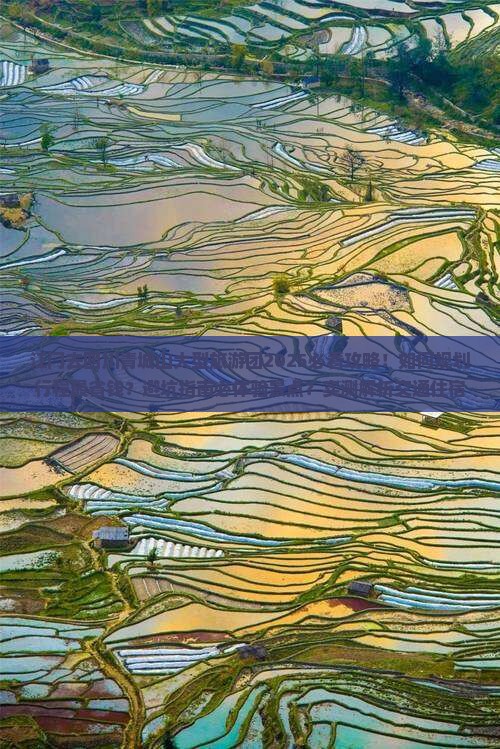 江门去四川青城山大型旅游团 江门去四川青城山大型旅游团