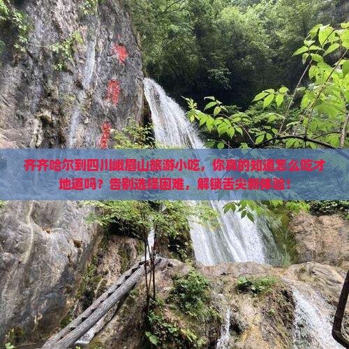 齐齐哈尔到四川峨眉山旅游小吃