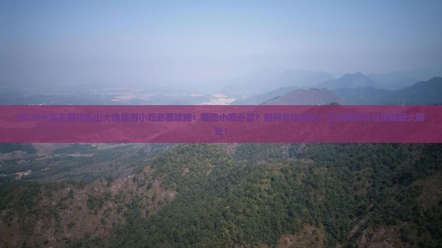 十堰去四川乐山大佛旅游小吃