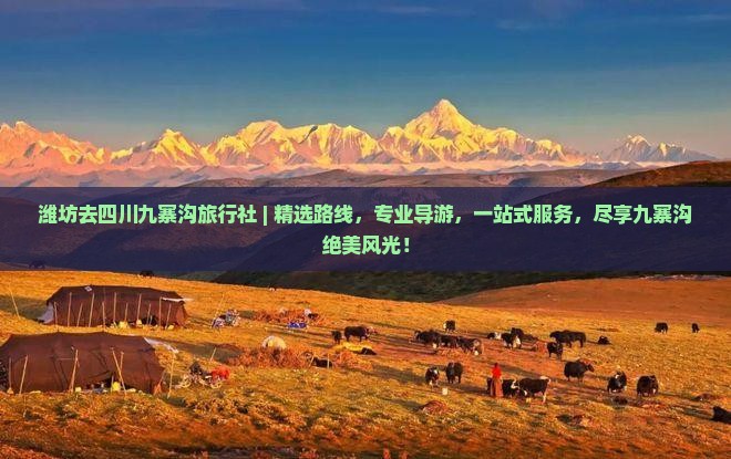 潍坊去四川九寨沟旅行社