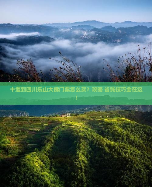 十堰到四川乐山大佛门票