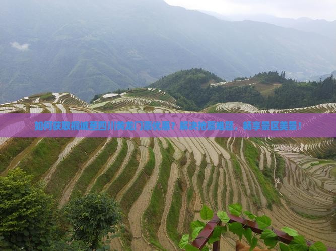 如何获取桐城至四川黄龙门票优惠？解决抢票难题，畅享景区美景！