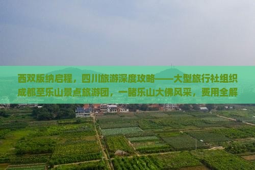西双版纳启程，四川旅游深度攻略——大型旅行社组织成都至乐山景点旅游团，一睹乐山大佛风采，费用全解析