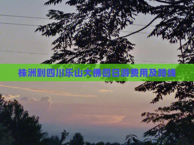 株洲到四川乐山大佛四日游费用及路线