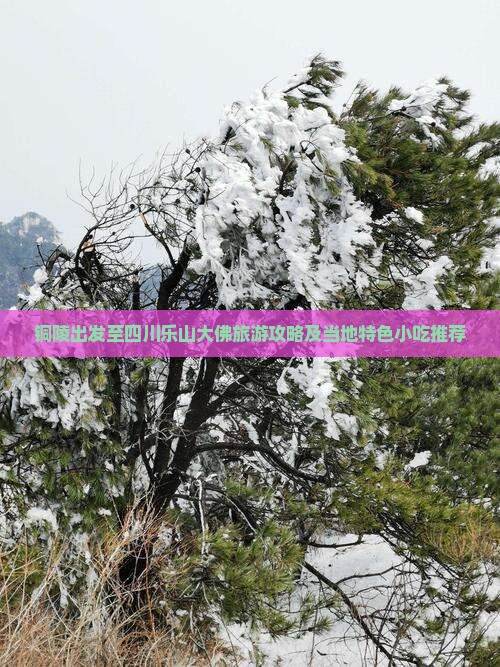铜陵出发至四川乐山大佛旅游攻略及当地特色小吃推荐