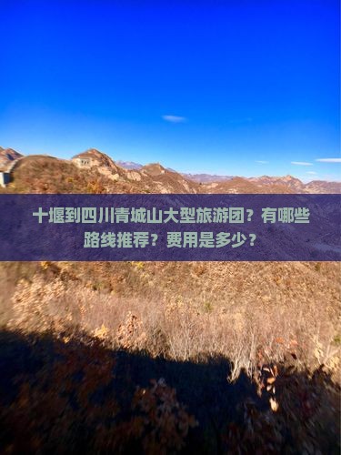 十堰到四川青城山大型旅游团？有哪些路线推荐？费用是多少？