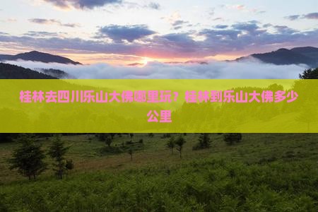 桂林去四川乐山大佛哪里玩？桂林到乐山大佛多少公里