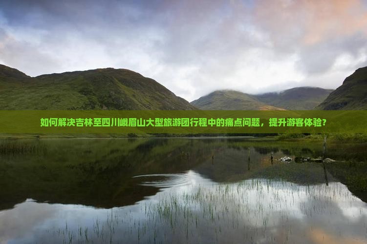 如何解决吉林至四川峨眉山大型旅游团行程中的痛点问题，提升游客体验？