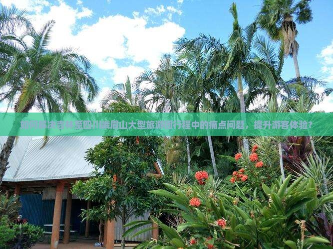 如何解决吉林至四川峨眉山大型旅游团行程中的痛点问题，提升游客体验？