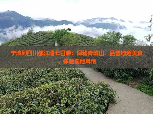 宁波到四川都江堰七日游：探秘青城山、品尝地道美食、体验蜀地风情