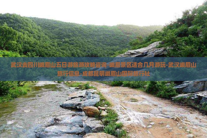 武汉去四川峨眉山五日游旅游攻略咨询-峨眉景区适合几月游玩-武汉峨眉山旅行信息-成都昆明峨眉山国际旅行社