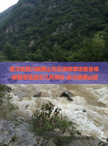 武汉去四川峨眉山五日游旅游攻略咨询-峨眉景区适合几月游玩-武汉峨眉山旅行信息-成都昆明峨眉山国际旅行社