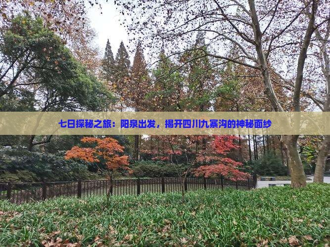 七日探秘之旅：阳泉出发，揭开四川九寨沟的神秘面纱