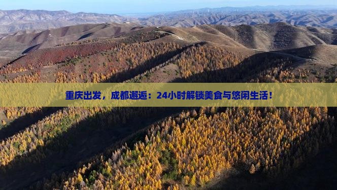 重庆去四川成都一日